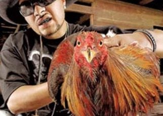 Chingo Bling And His Rooster Cleto