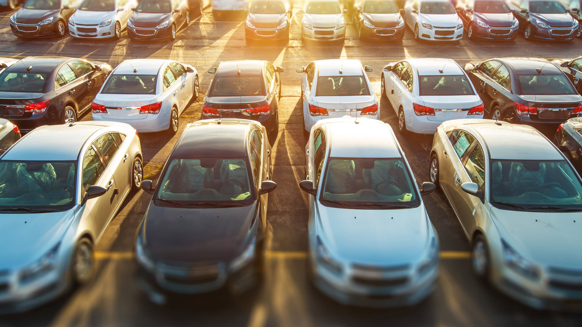 reliable Cruise Port Transportation Miami transfer
